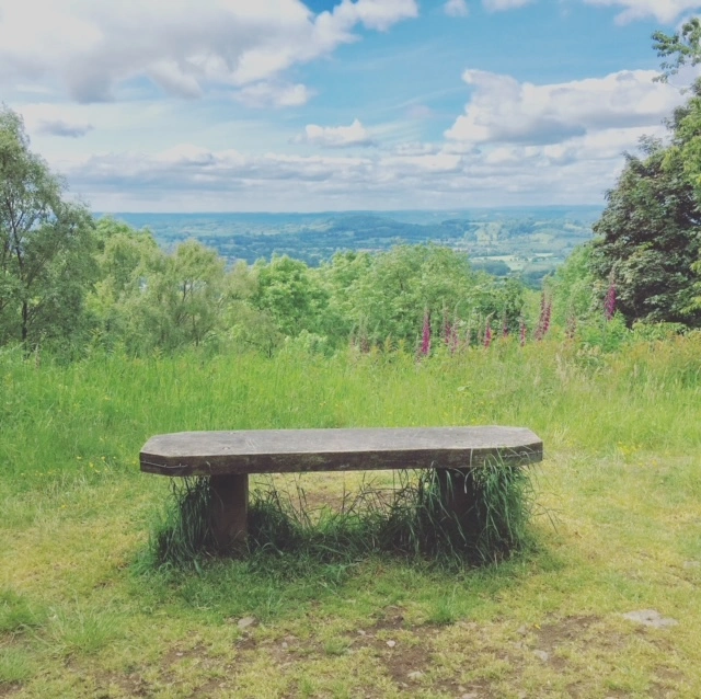 Bench in the countryside